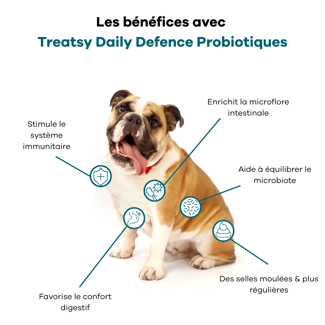 Treatsy "Daily Defence" Probiotiques (30 bouchées)