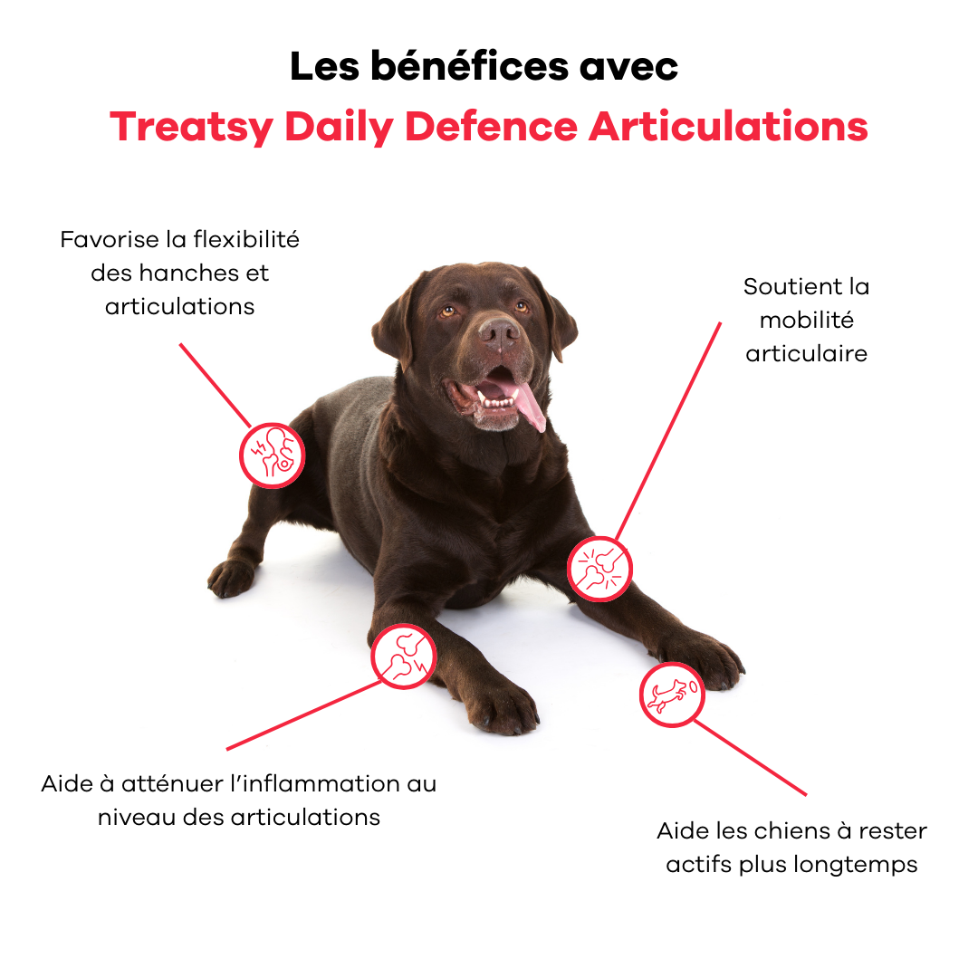 Treatsy "Daily Defence" Articulations (30 bouchées)