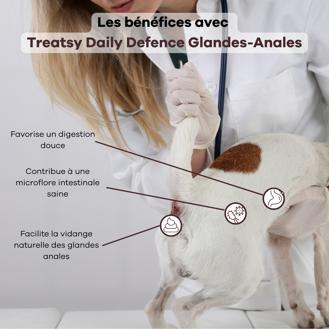 Treatsy "Daily Defence" Glandes Anales (30 bouchées)
