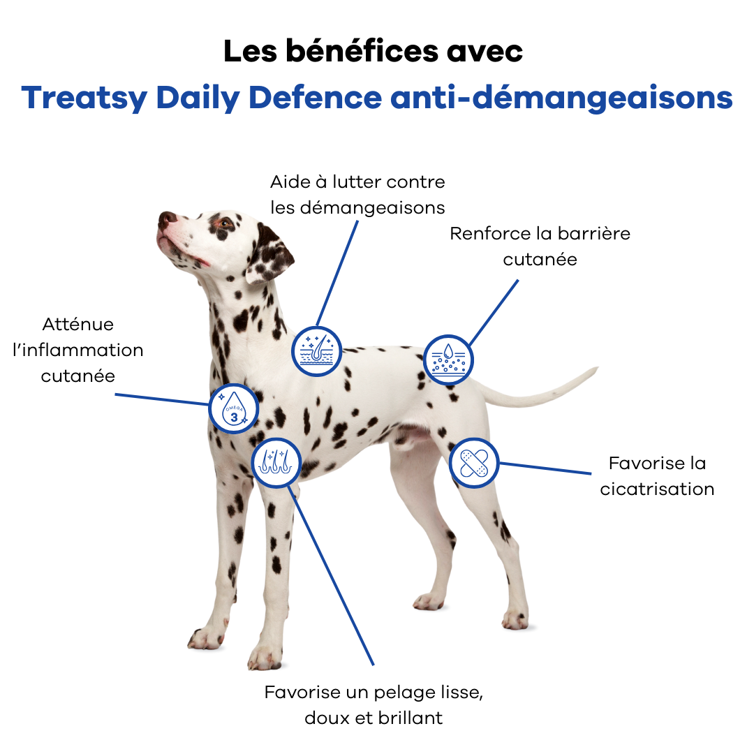 Treatsy "Daily Defence" Anti-Démangeaisons (30 bouchées)