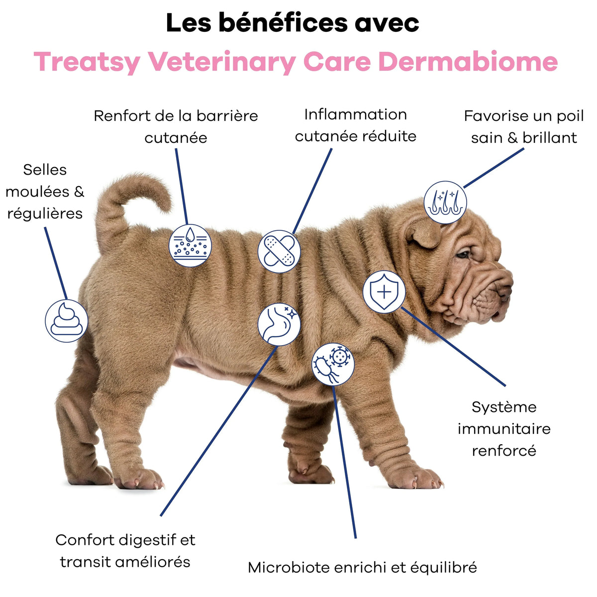 đ¶ Veterinary care - Chien - Dermabiome