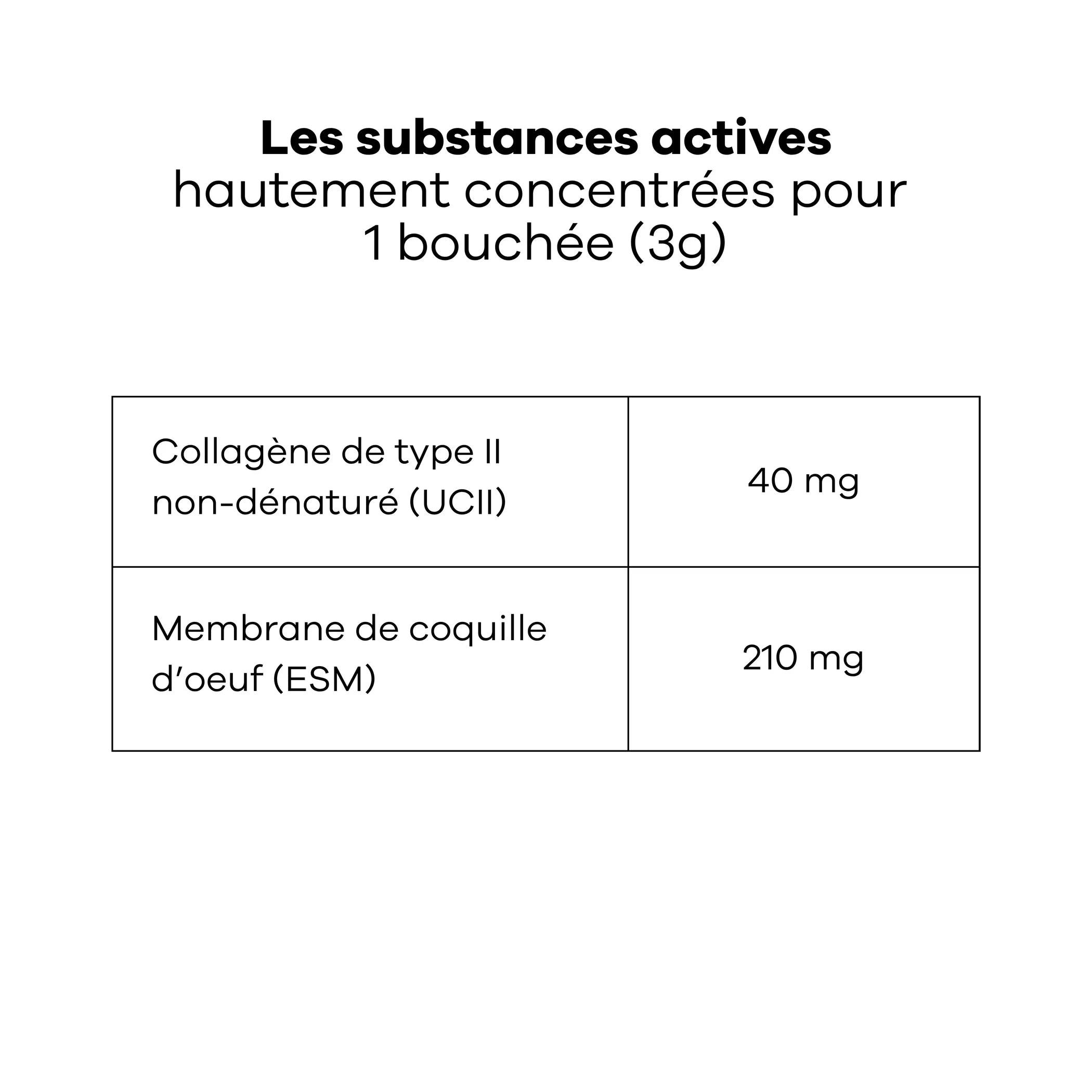 π Treatsy Mobility β Smakelijke voedingssupplementen voor actieve of oudere honden π¦΄πͺ
