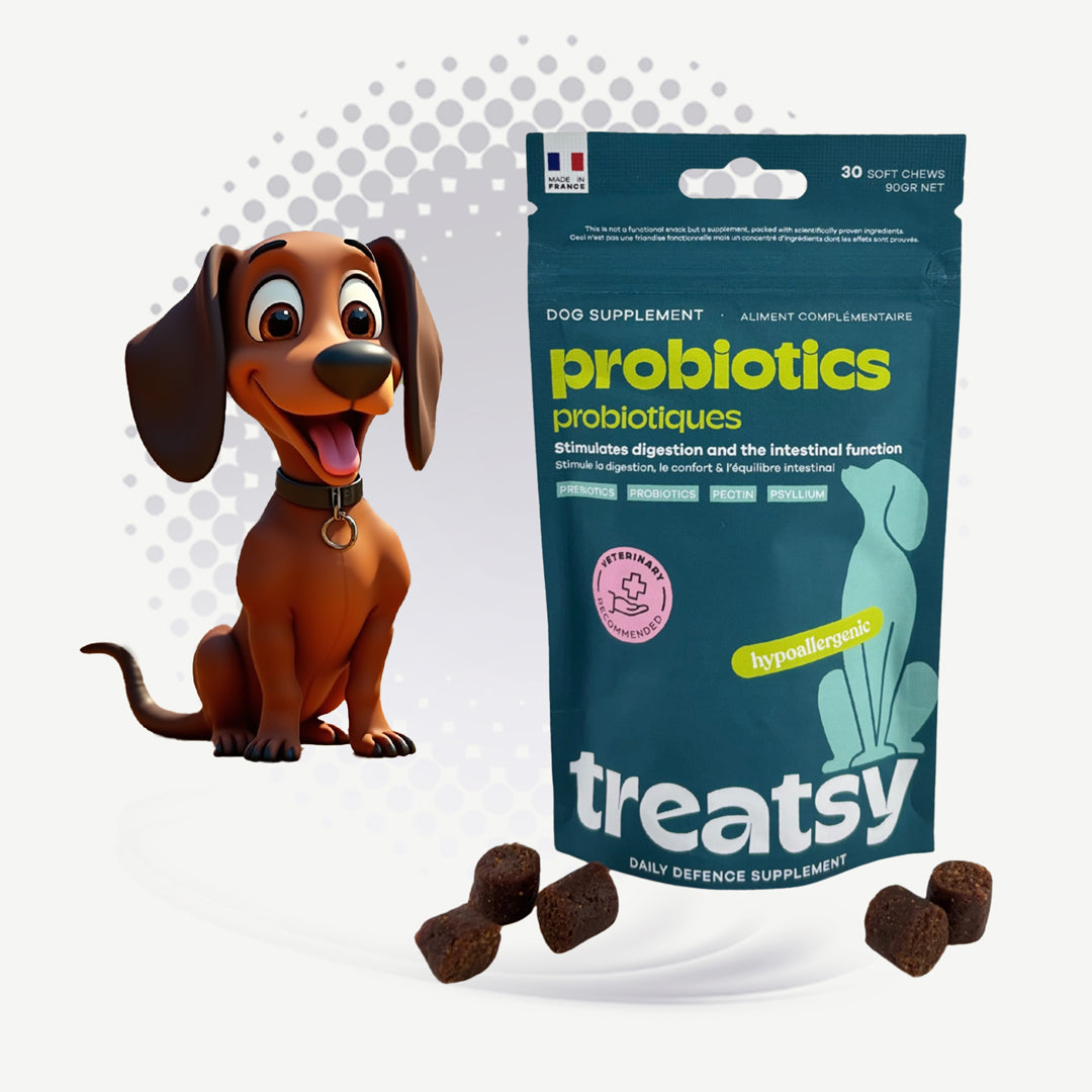 Treatsy "Daily Defence" Probiotiques (30 bouchées)