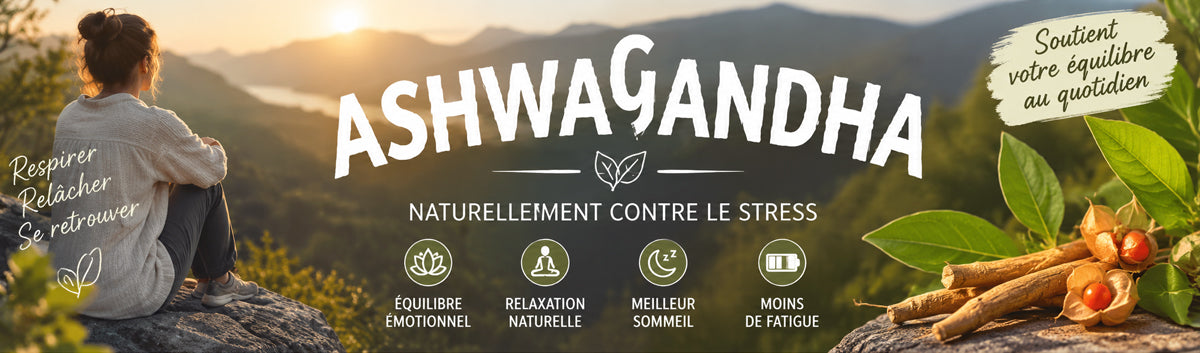 🌿 Ashwagandha : mieux résister au stress et retrouver son équilibre naturellement