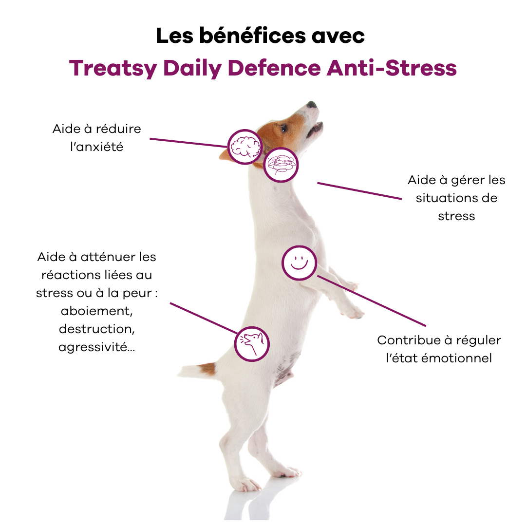 Treatsy "Daily Defence" Anti-stress  (30 bouchées)