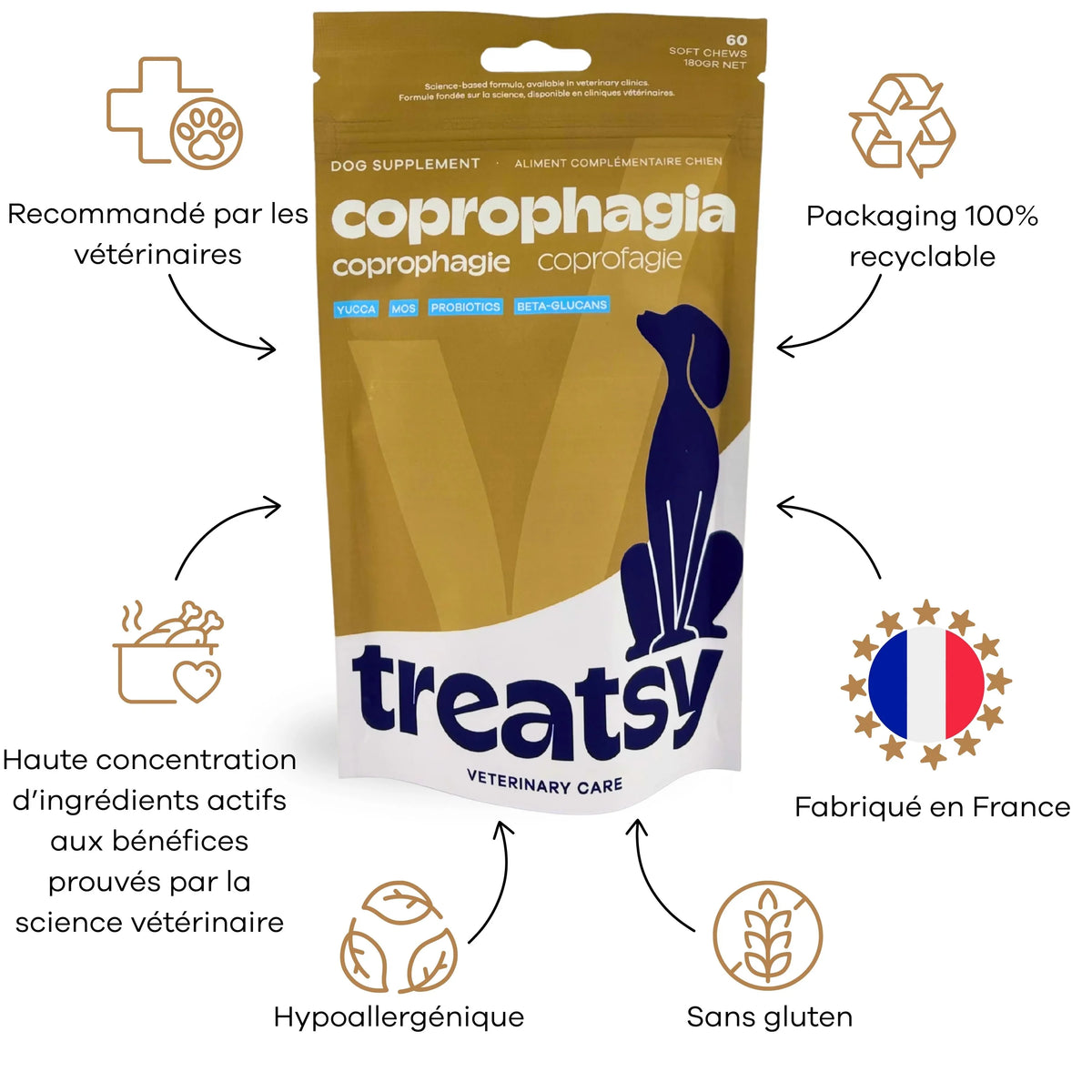 🐶 Veterinary care - Chien - Coprophagie