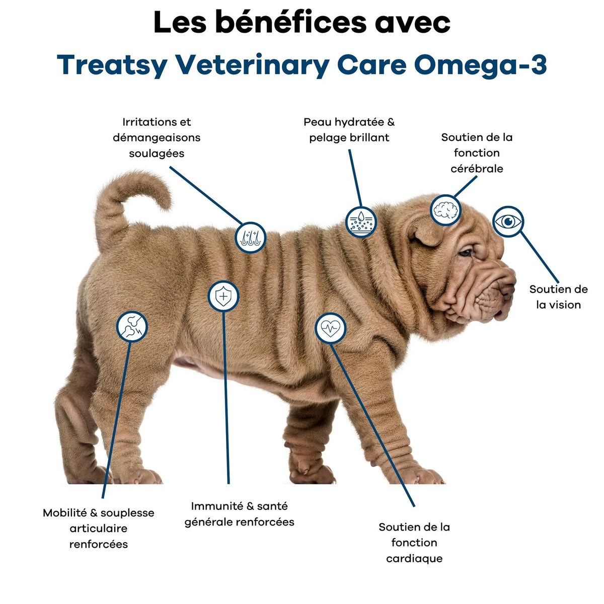 😺 🐶 Veterinary care - Chien et chat - Oméga 3