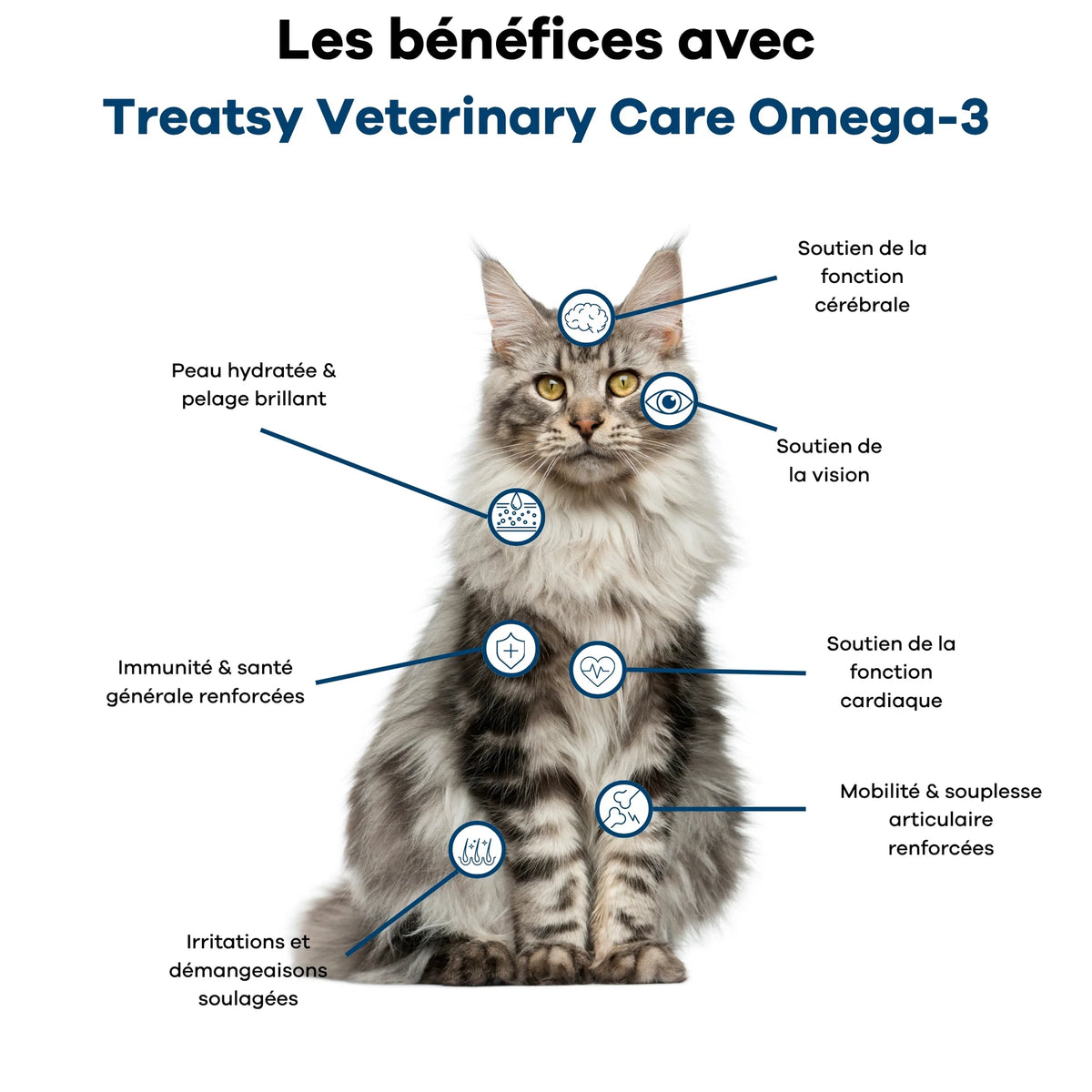 😺 🐶 Veterinary care - Chien et chat - Oméga 3