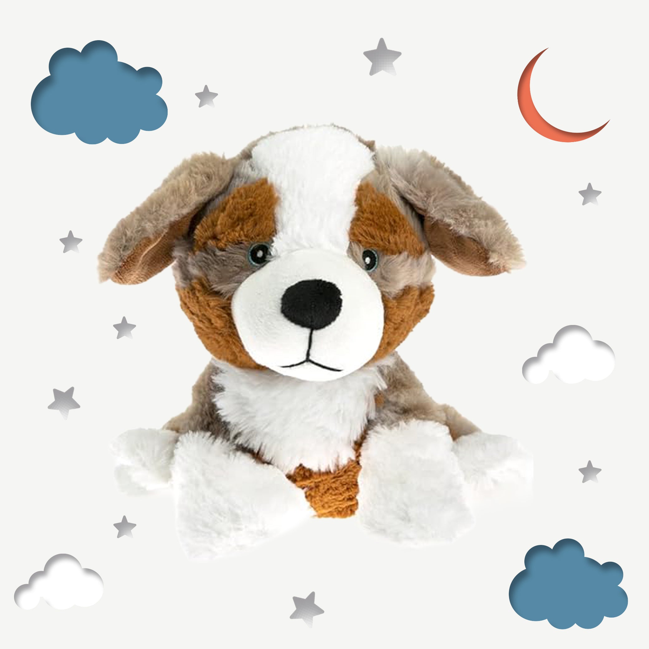 ♨️ Peluche bouillotte - Berger Australien