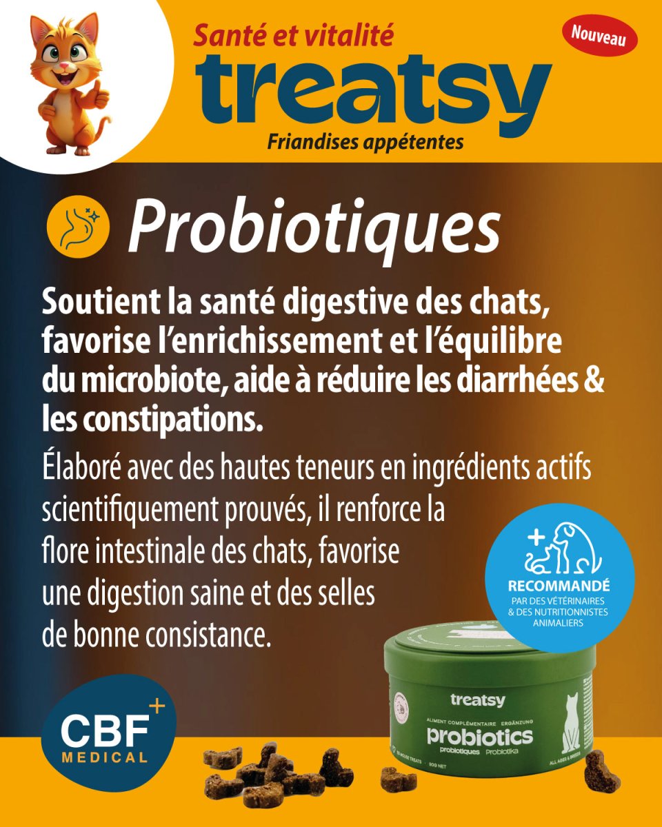 🐱 Treatsy Probiotiques – Compléments appétents pour chats pour une digestion saine et un microbiote renforcé 🌱💩 - CBF Medical