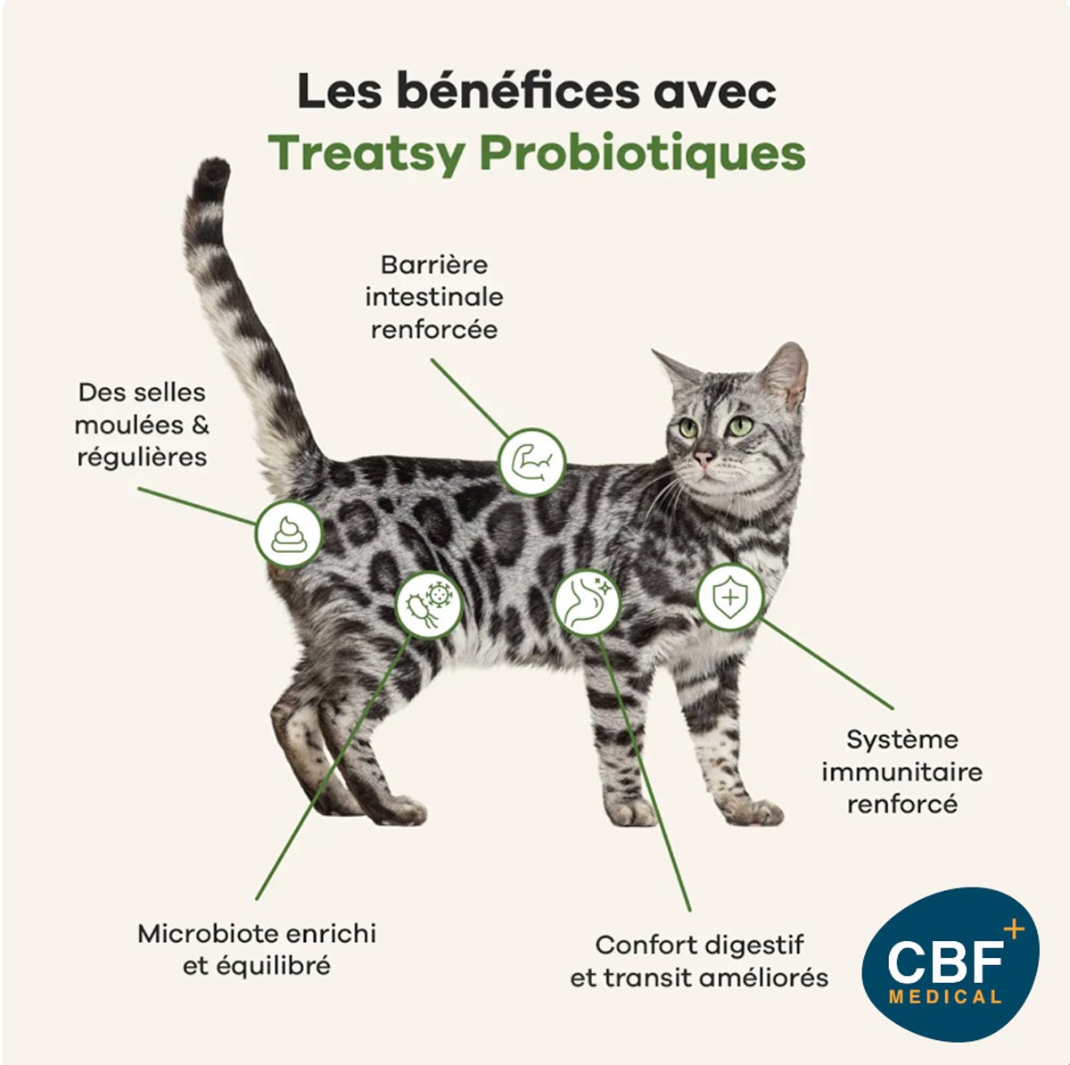 🐱 Treatsy Probiotiques – Compléments appétents pour chats pour une digestion saine et un microbiote renforcé 🌱💩 - CBF Medical